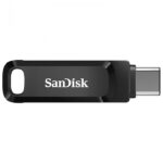 SanDisk Clé Double Connectique USB Type-C - SDDDC3